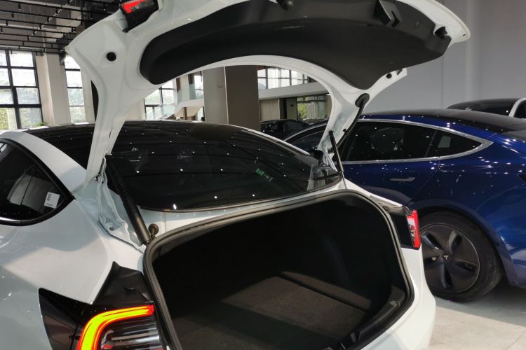 Tesla Model 3 2021 #19 Tesla Model 3 2021 car image #19