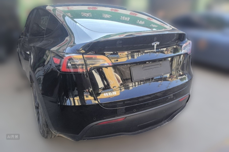 Tesla Model Y 2023 car image #5