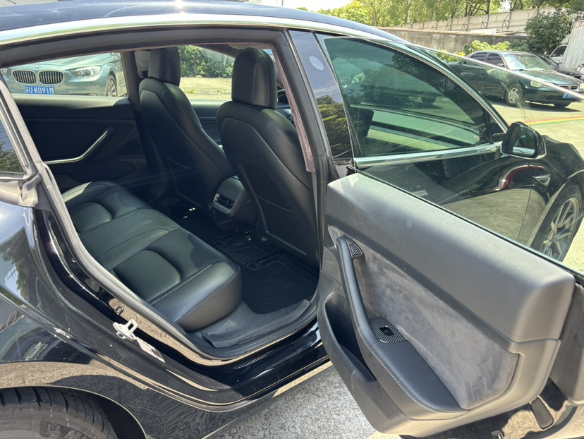 Tesla Model 3 2020 car image #14