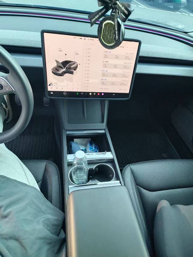 Tesla Model 3 2024 صورة سيارة #8