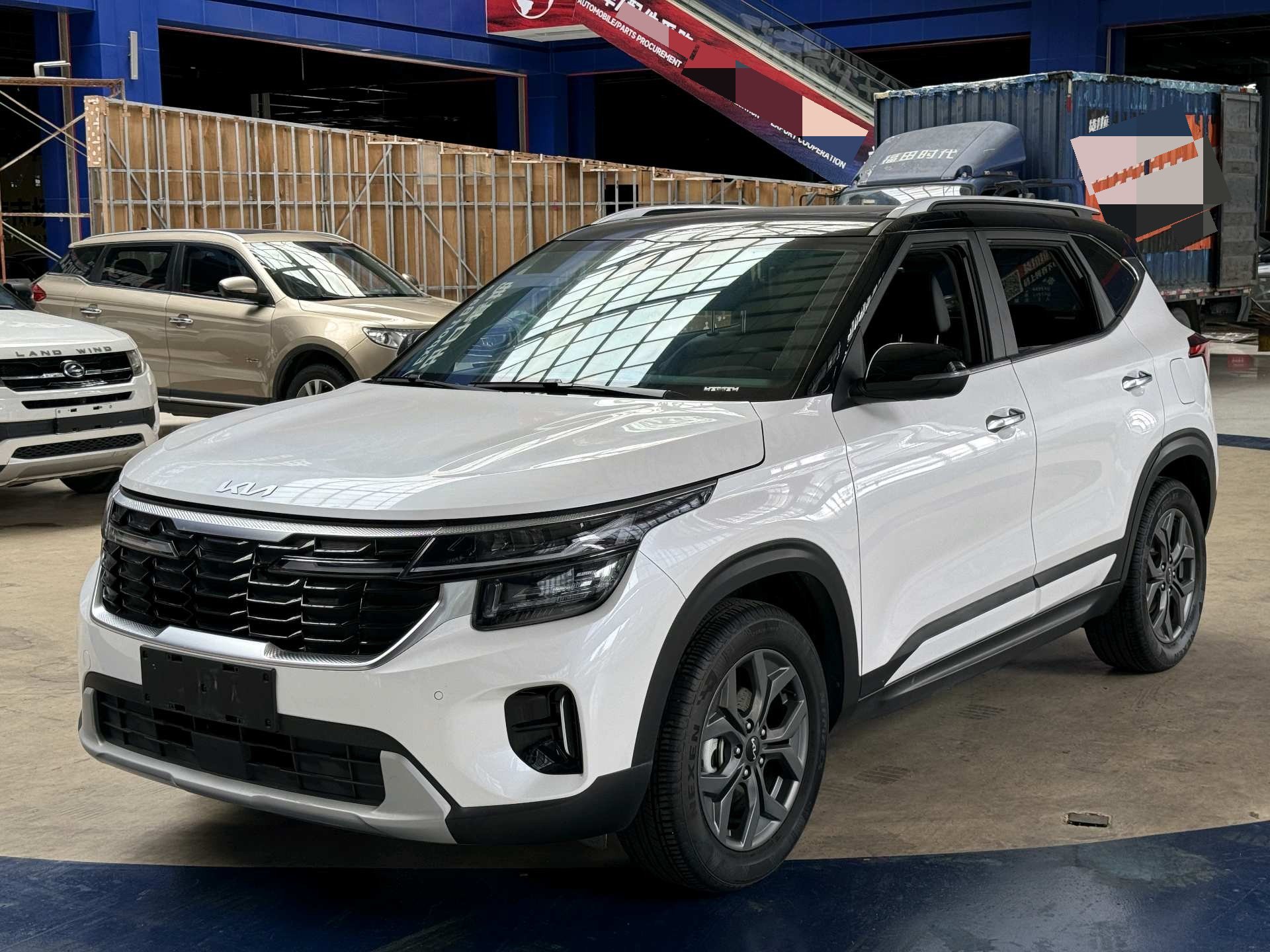 Kia Seltos 2024 car image 