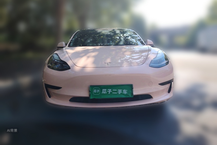Tesla Model 3 2023 #3 Tesla Model 3 2023 car image #3