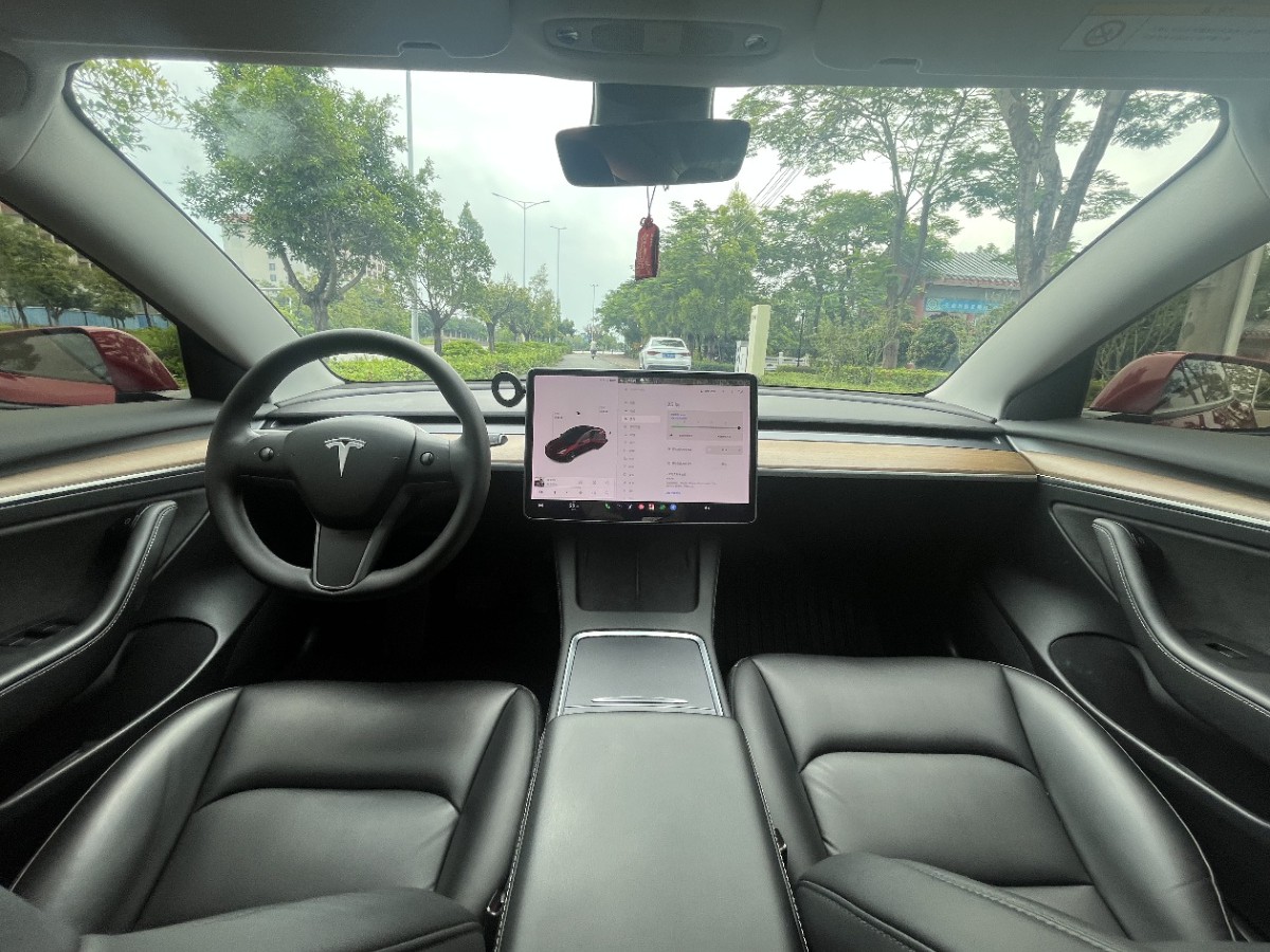 Tesla Model 3 2021 car image #6
