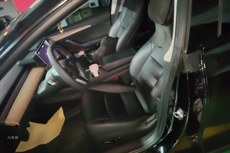 Tesla Model 3 2022 #17 Tesla Model 3 2022 immagine di auto #17