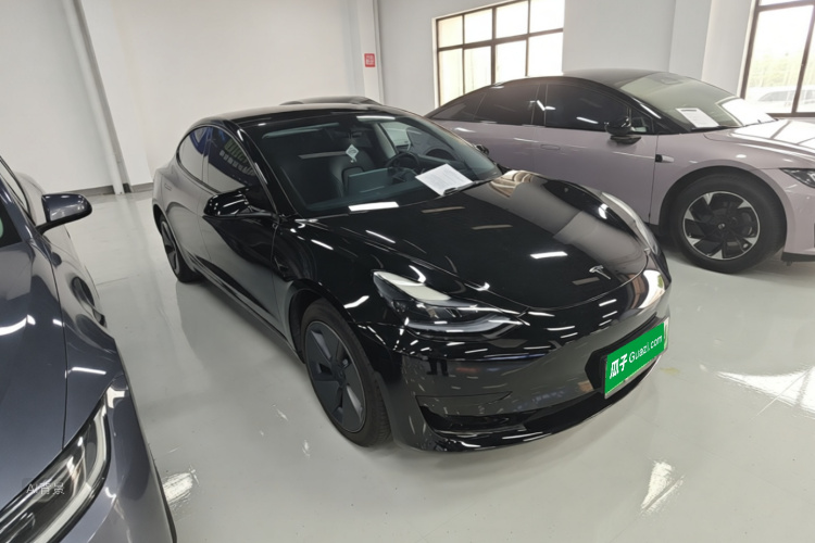 Tesla Model 3 2023 car image #4
