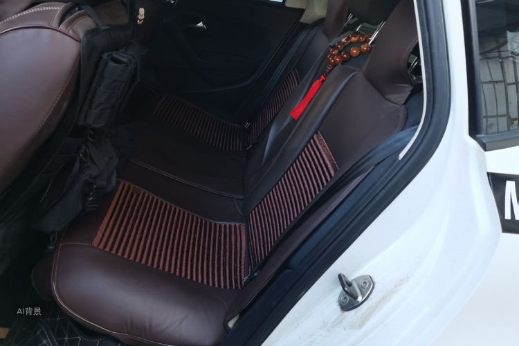 Volkswagen Polo 2016 car image #19