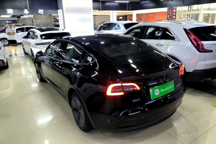 Tesla Model 3 2023 #5 Tesla Model 3 2023 car image #5