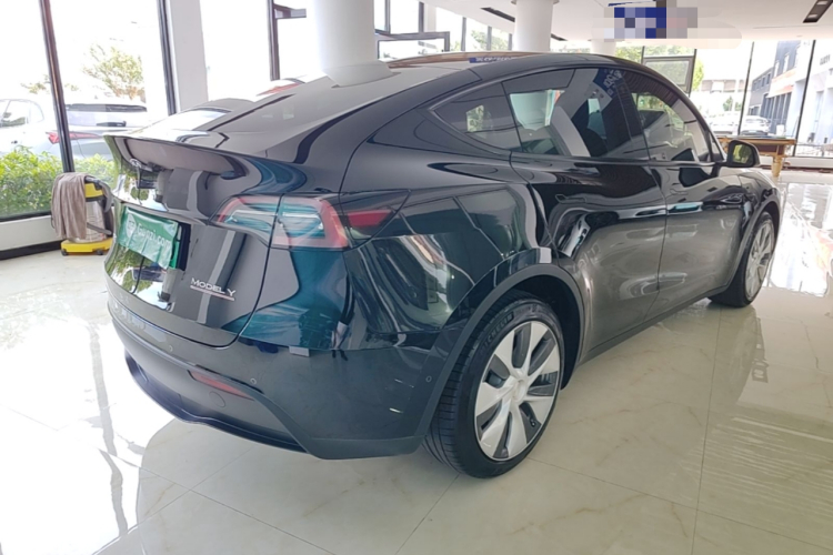 Tesla Model Y 2022 car image #5