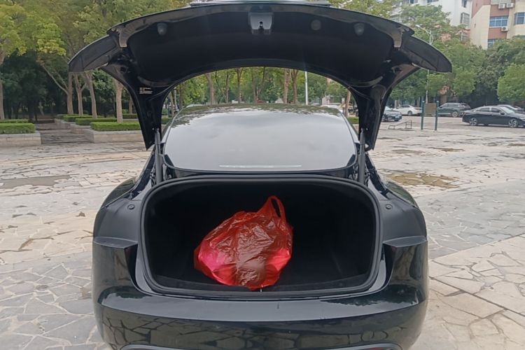 Tesla Model 3 2023 #19 Tesla Model 3 2023 car image #19
