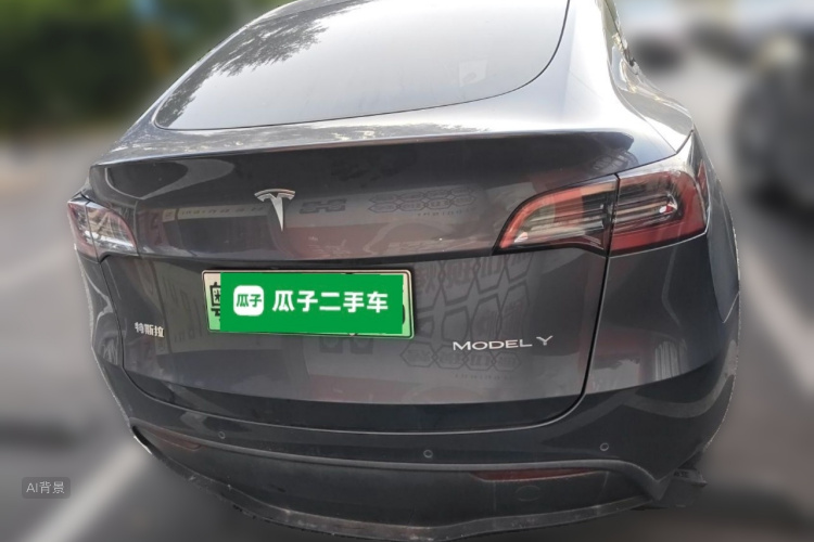 Tesla Model Y 2021 car image #6