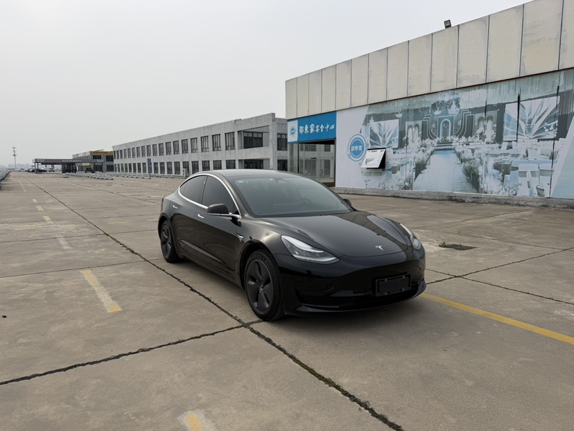 Tesla Model 3 2020 car image 
