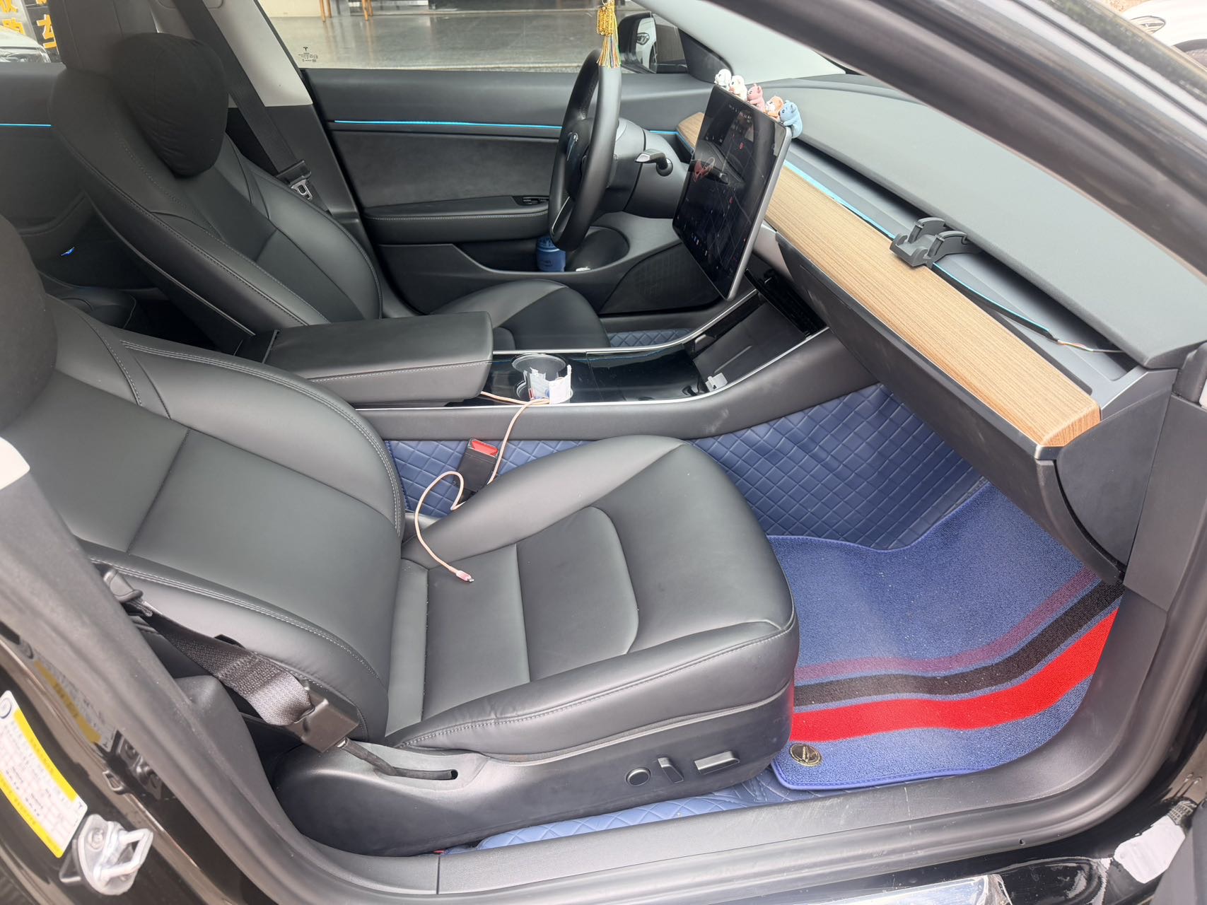 Tesla Model 3 2021 car image #6