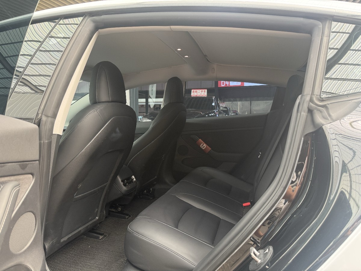 Tesla Model 3 2021 #5 Tesla Model 3 2021 car image #5
