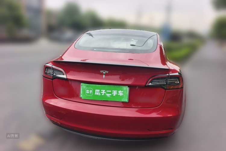 Tesla Model 3 2022 car image #6