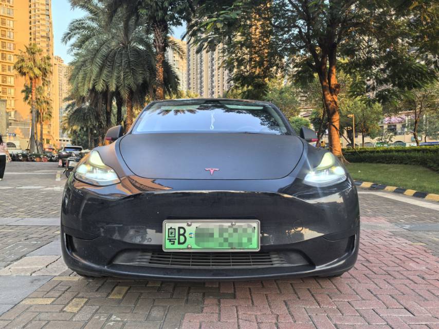 Tesla Model Y 2023 #2 Tesla Model Y 2023 صورة سيارة #2