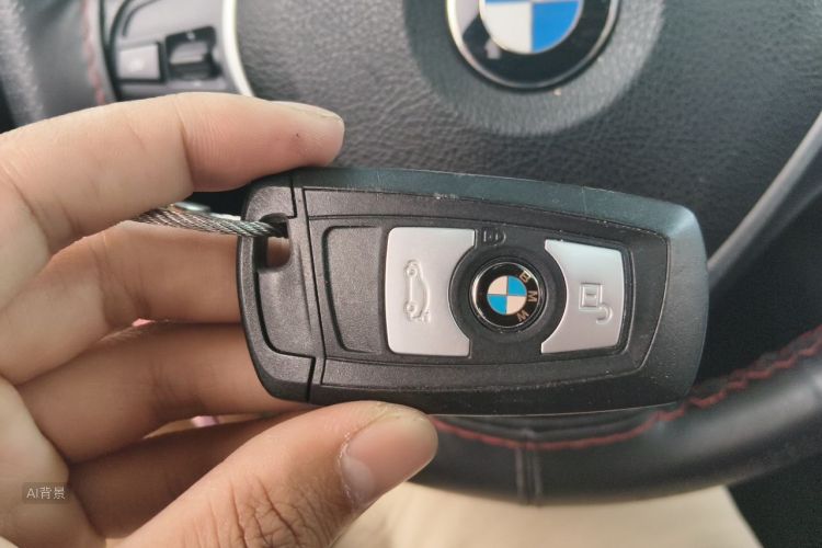 BMW 3 Series 2017 car image #10