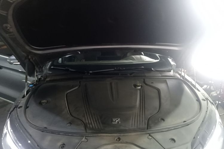 BYD Han 2020 #20 BYD Han 2020 immagine di auto #20