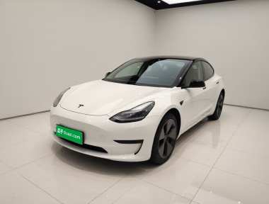 Tesla Model 3 2023 car image 