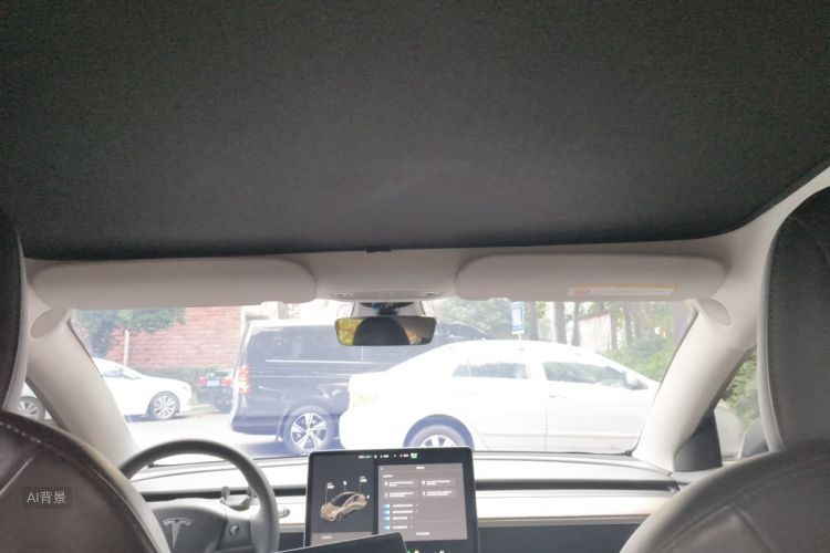 Tesla Model 3 2021 car image #20