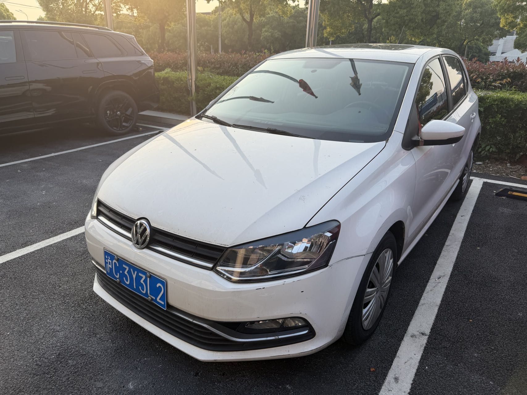 Volkswagen Polo 2017 Volkswagen Polo 2017 car image