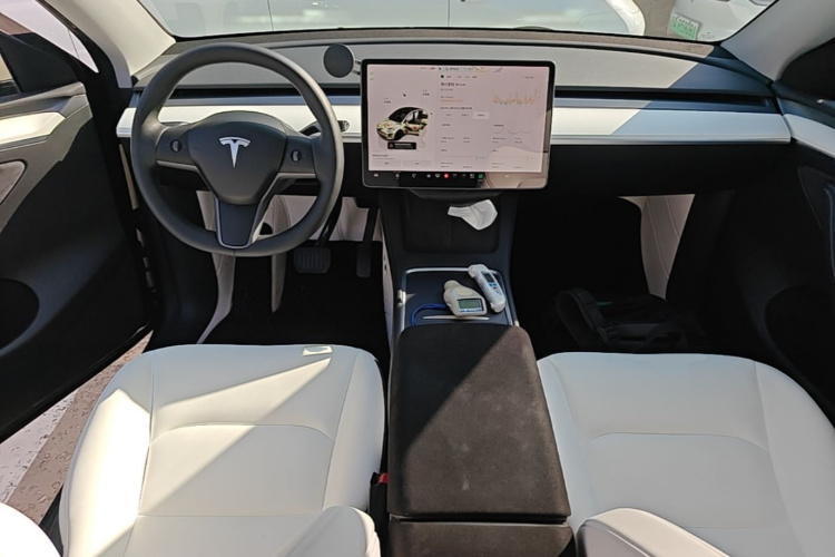 Tesla Model Y 2023 immagine di auto #10