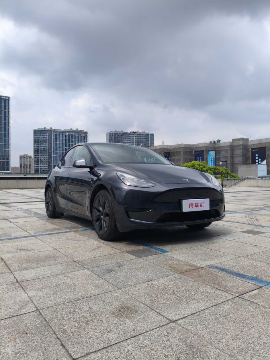 Tesla Model Y 2024 car image #3