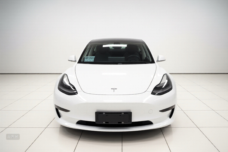 Tesla Model 3 2020 car image #3
