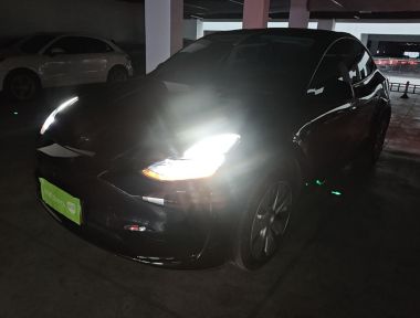 Tesla Model Y 2022 immagine di auto 