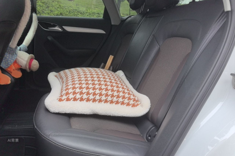 Audi Q3 2019 car image #19