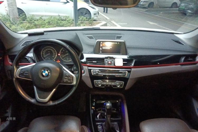 BMW X1 2016 car image #11