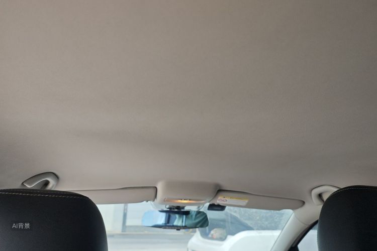 Volkswagen Polo 2015 car image #20