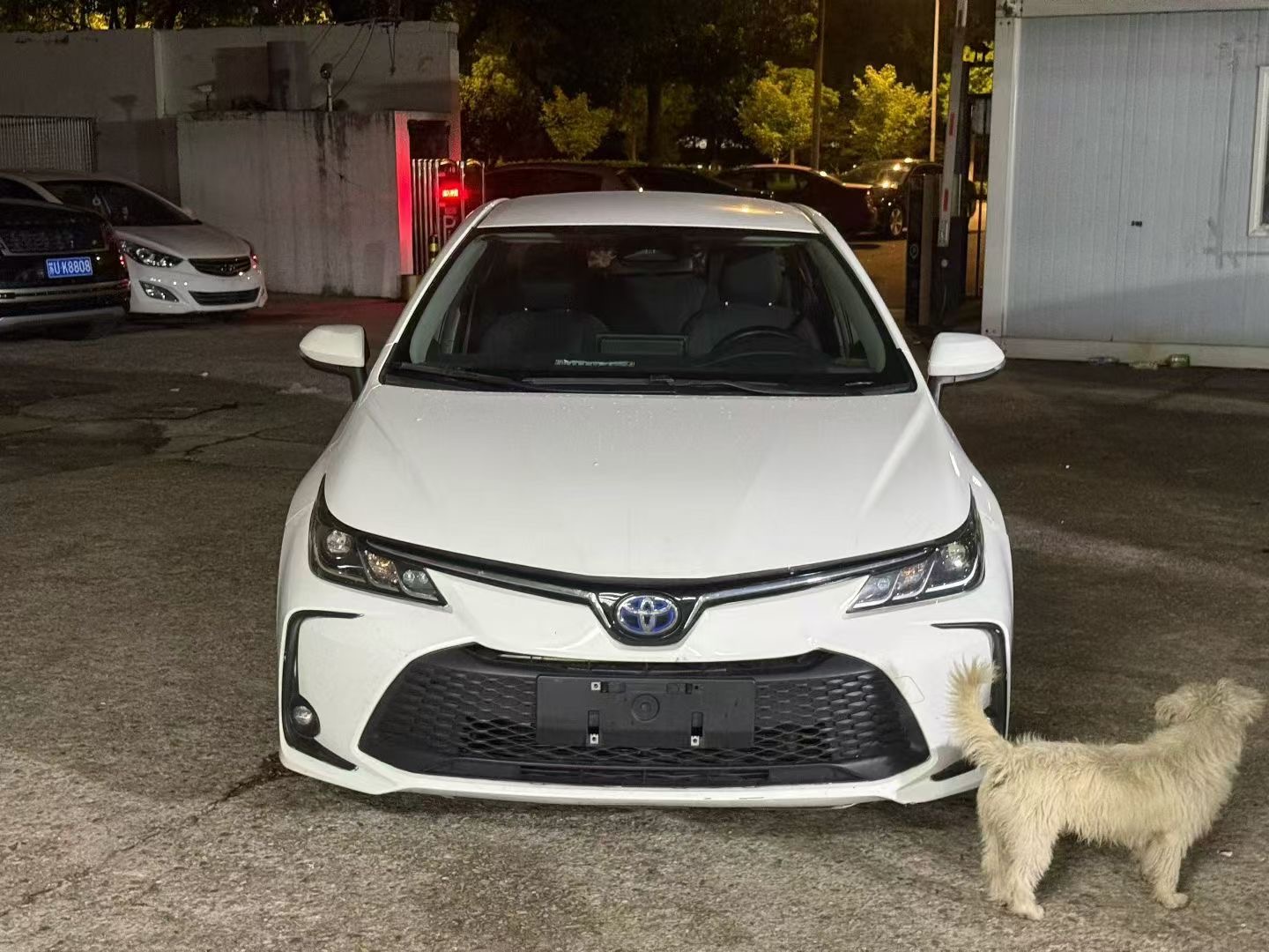 Toyota Corolla 2023 #2 Toyota Corolla 2023 صورة سيارة #2