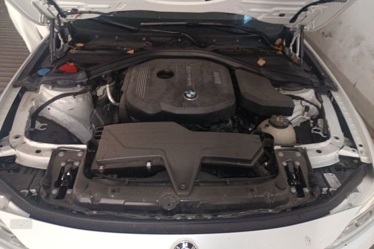 BMW 3 Series 2017 #22 BMW 3 Series 2017 immagine di auto #22