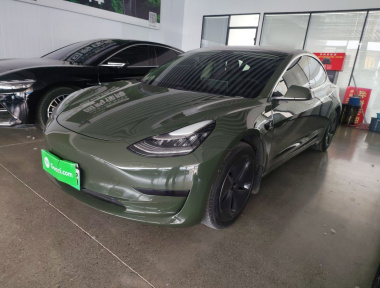 Tesla Model 3 2020 Tesla Model 3 2020 immagine di auto