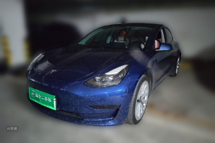 Tesla Model 3 2020 #2 Tesla Model 3 2020 car image #2