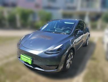 Tesla Model Y 2022 Tesla Model Y 2022 car image