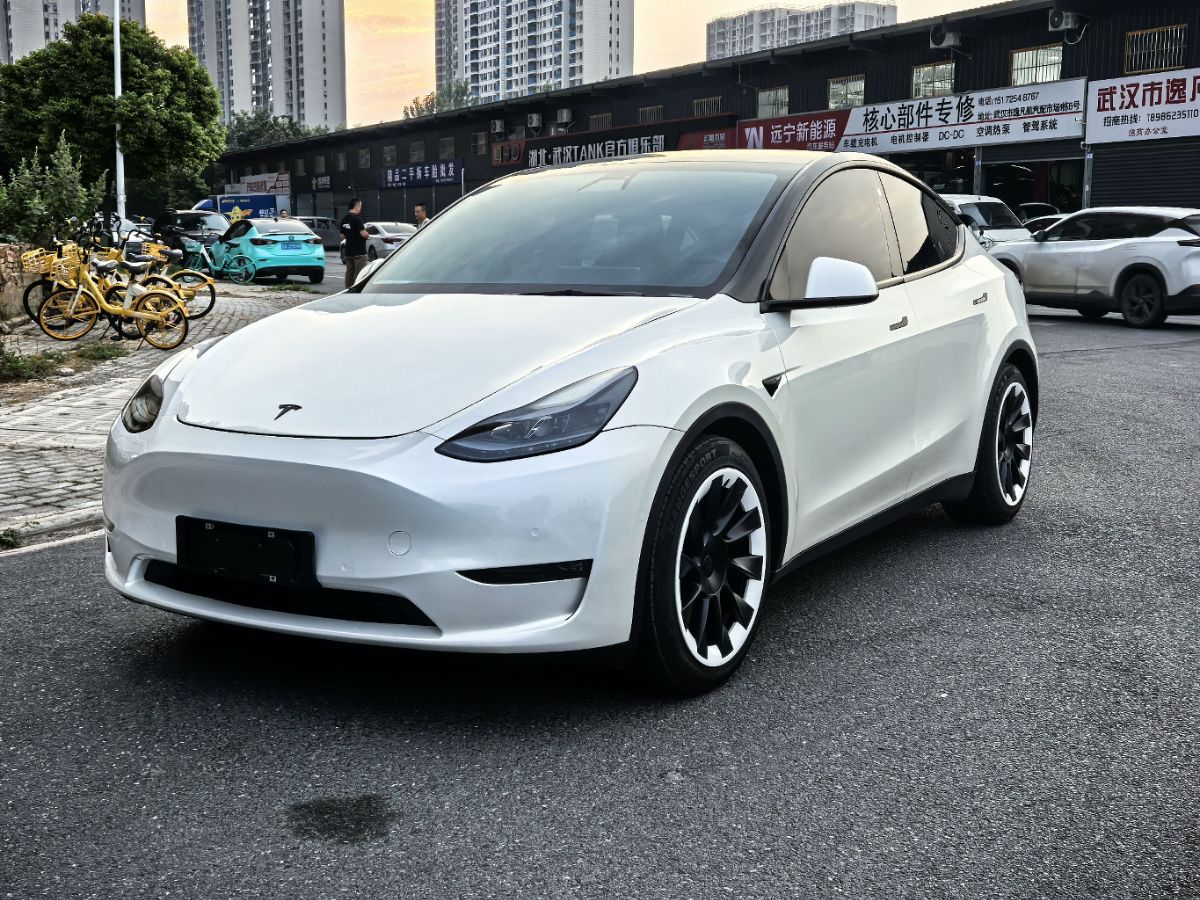 Tesla Model Y 2022 Tesla Model Y 2022 car image