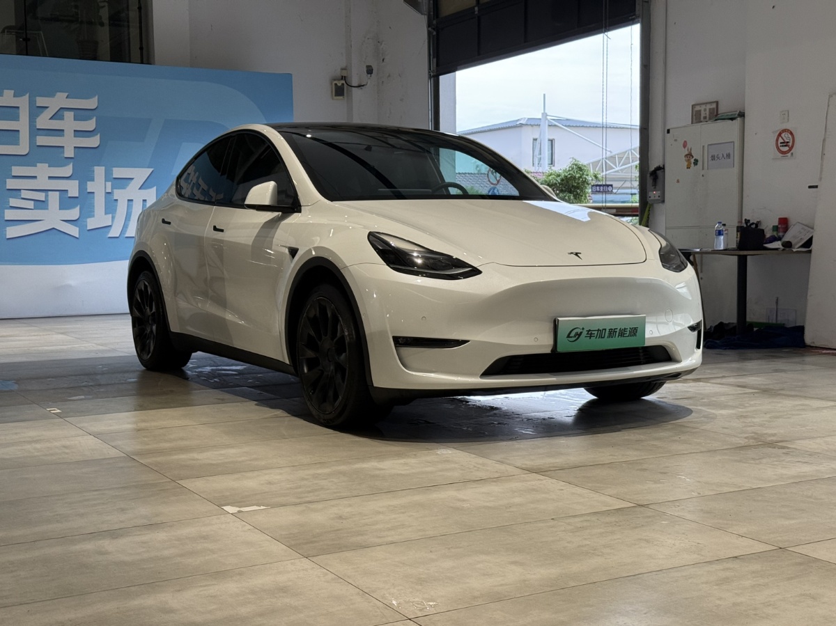 Tesla Model Y 2021 car image #2