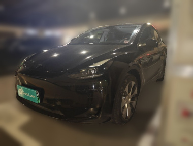 Tesla Model Y 2022 car image 