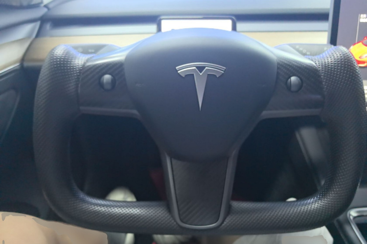 Tesla Model 3 2021 car image #11