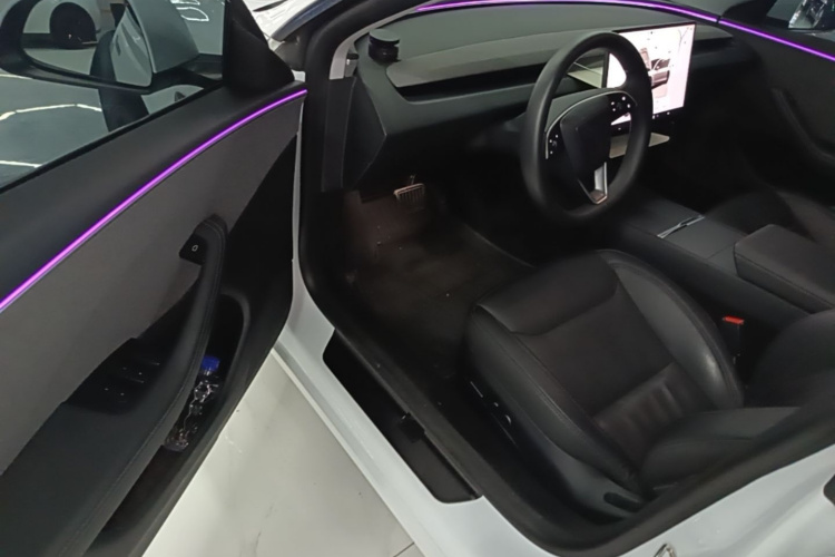 Tesla Model 3 2024 immagine di auto #16