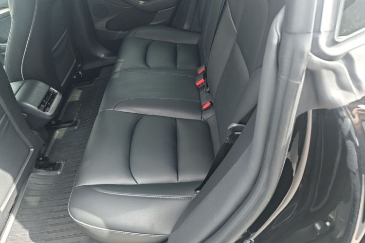 Tesla Model 3 2022 car image #17