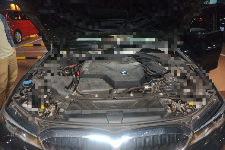BMW 3 Series 2020 car image #22