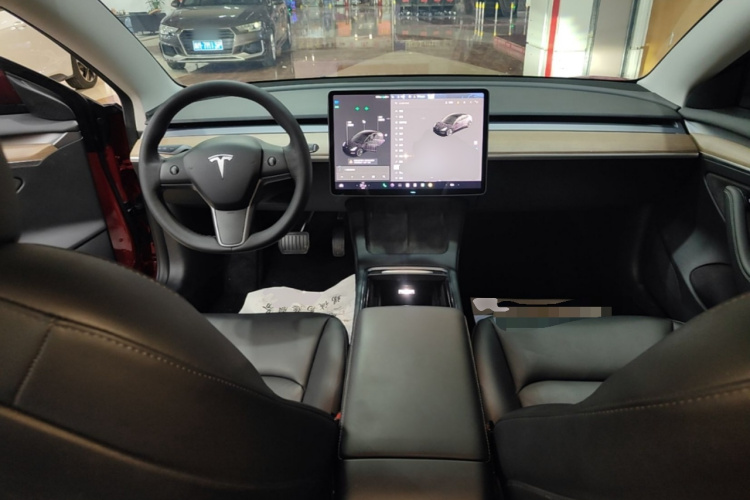 Tesla Model 3 2021 car image #10