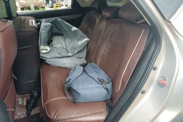 GEELY Emgrand GS 2018 car image #19