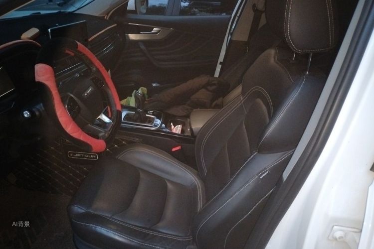 2019 image de voiture #17