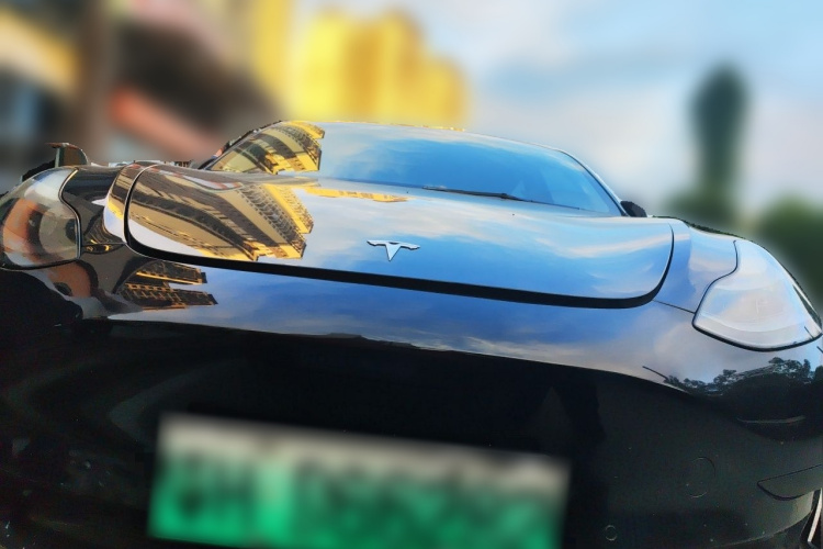 Tesla Model 3 2022 #3 Tesla Model 3 2022 car image #3