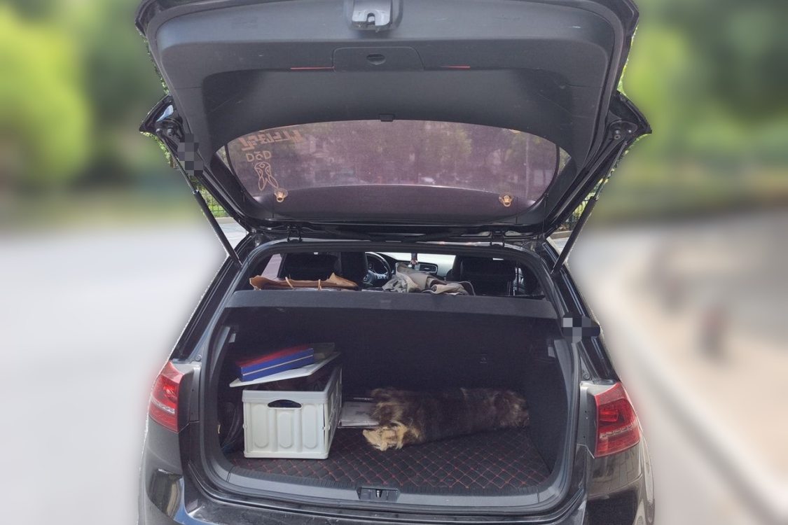 Volkswagen Golf 2016 imagen de coche #8