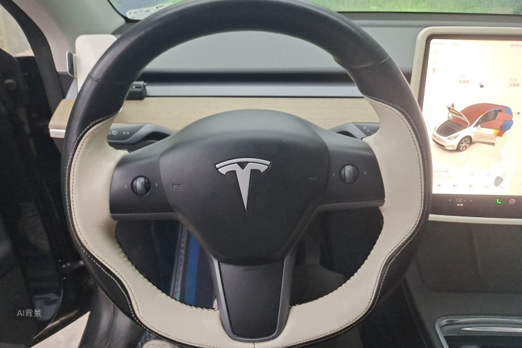 Tesla Model Y 2023 car image #12