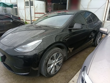 Tesla Model Y 2023 Tesla Model Y 2023 car image